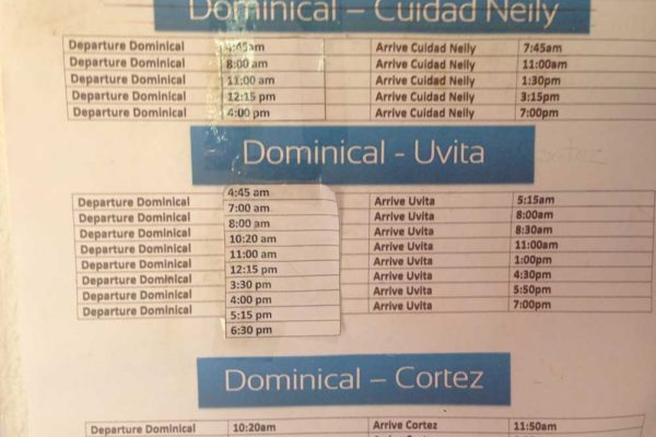 Dominical bus schedules from Information Center